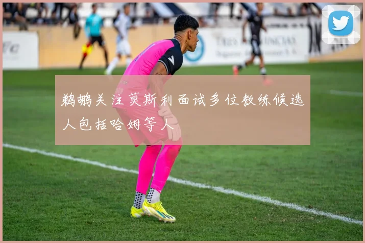 鹈鹕关注莫斯利面试多位教练候选人包括哈姆等人